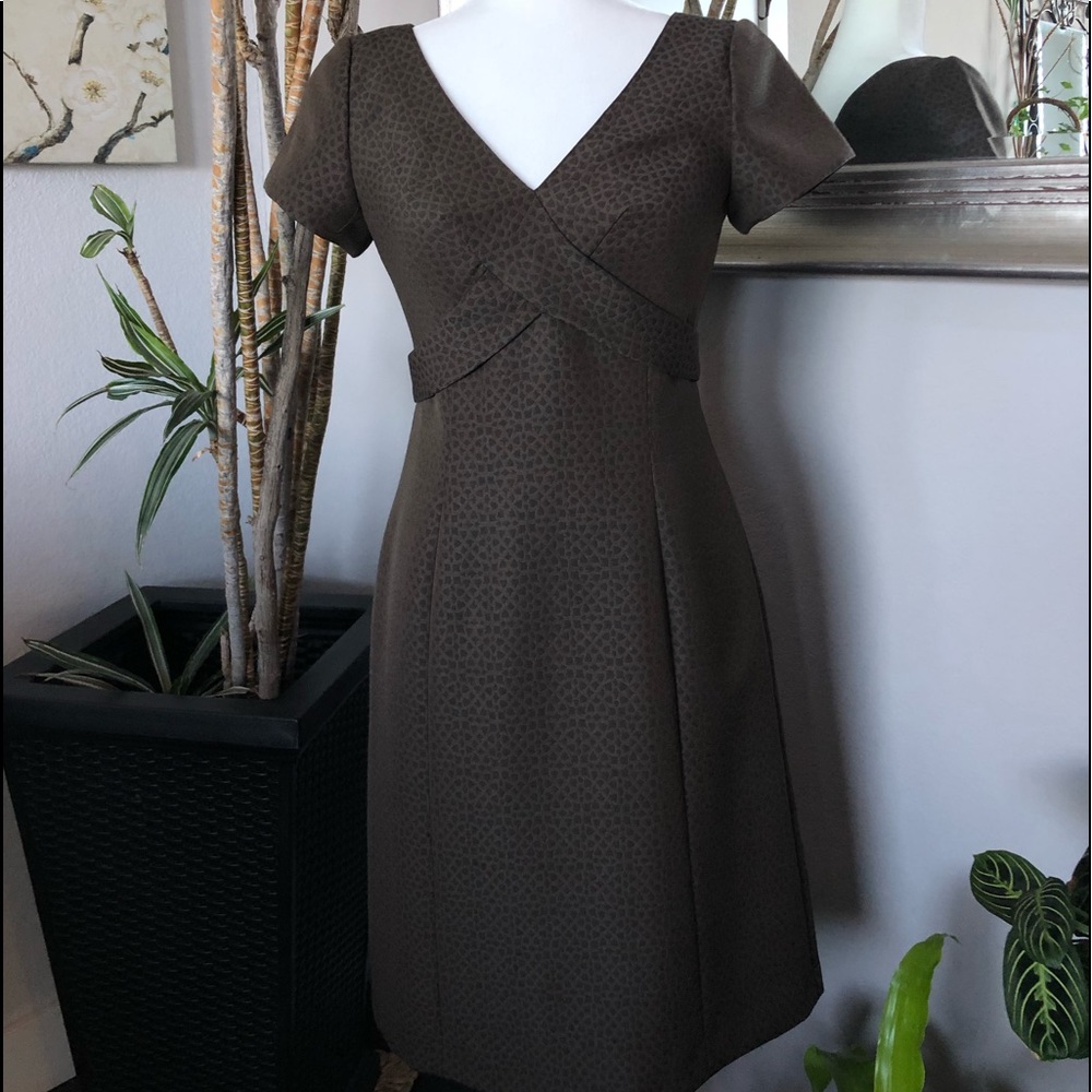 Isabella DeMarco Brown V neck A line Sheath Dress